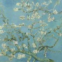 Kitchen And Hanami - Almond Flowers