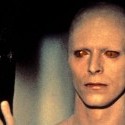 The Man Who Fell To Earth - The Man Who Fell To Earth