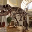 Dinosaur 2000 - Dinosaur