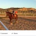 Middle-class Consciousness - My Son Riding