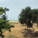 A Clumsy Artist In Africa - The View From My Terrace
