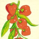 Tomatoes And Prostitutes - Nigerian Ketchup