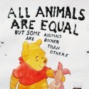 Back In The Pink Studio - Piglet