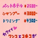 Riiko Sakkinen: Creatively Baffled By Tokyo - Pet Hairdresser (japanese Only)